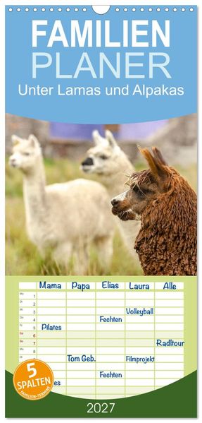 Familienplaner 2027 - Unter Lamas und Alpakas mit 5 Spalten (Wandkalender 21 x 45 cm) CALVENDO