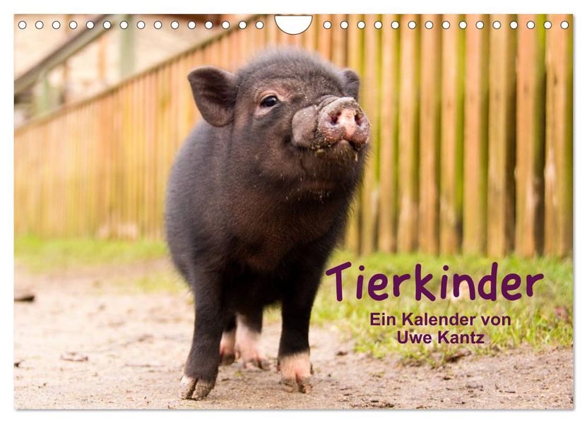 Tierkinder (Wandkalender 2027 DIN A4 quer) CALVENDO Monatskalender