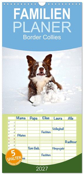 Familienplaner 2027 - Border Collies mit 5 Spalten (Wandkalender 21 x 45 cm) CALVENDO