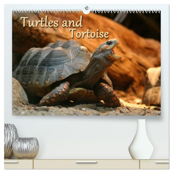Turtles and Tortoise / UK-Version (High Quality Premium Wall Calendar 2027 DIN A2 landscape)CALVENDO 12 Month Wall Calendar