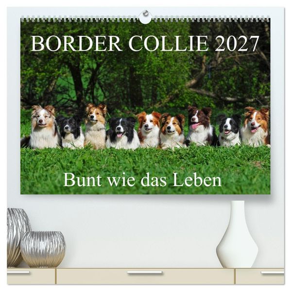 Border Collie 2027 (hochwertiger Premium Wandkalender 2027 DIN A2 quer) Kunstdruck in Hochglanz