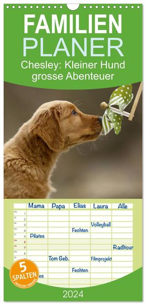 Familienplaner 2027 - Chesley Kleiner Hund grosse Abenteuer mit 5 Spalten (Wandkalender 21 x 45 cm) CALVENDO