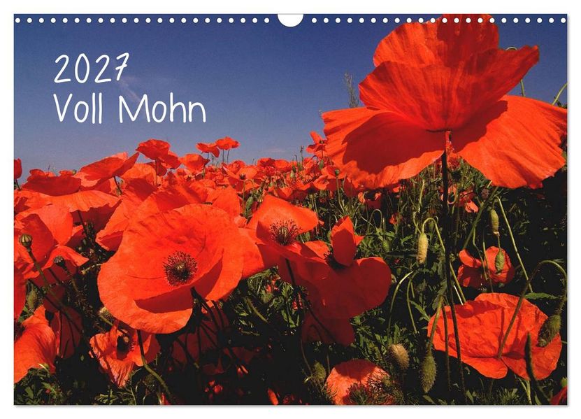Voll Mohn (Wandkalender 2027 DIN A3 quer) CALVENDO Monatskalender