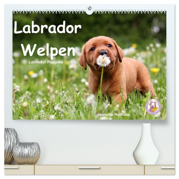 Labrador Welpen - Labrador Puppies (hochwertiger Premium Wandkalender 2027 DIN A2 quer) Kunstdruck in Hochglanz