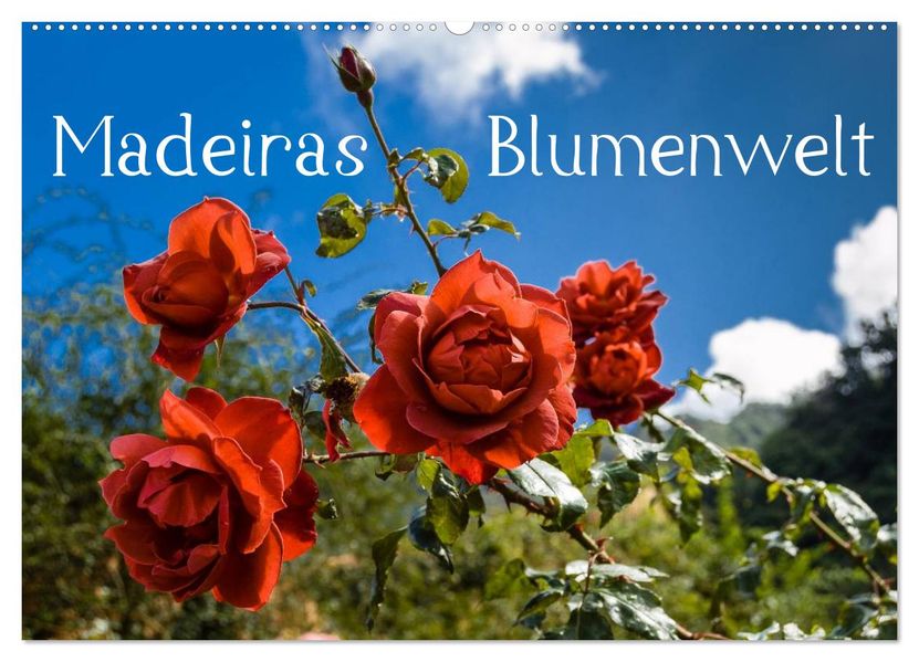 Madeiras Blumenwelt (Wandkalender 2027 DIN A2 quer) CALVENDO Monatskalender