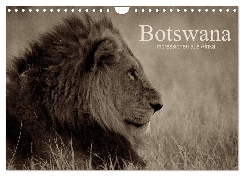 Botswana - Impressionen aus Afrika (Wandkalender 2027 DIN A4 quer) CALVENDO Monatskalender