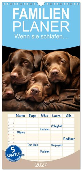 Familienplaner 2027 - Wenn sie schlafen... mit 5 Spalten (Wandkalender 21 x 45 cm) CALVENDO
