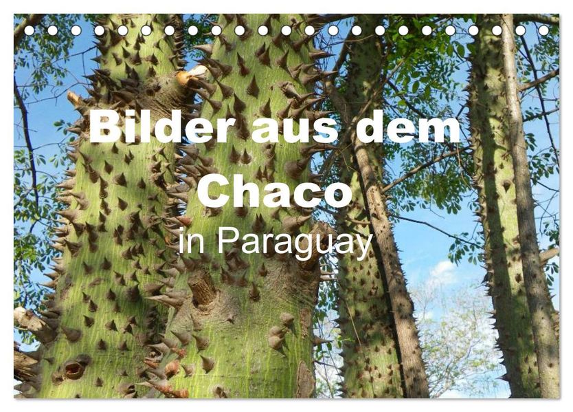 Bilder aus dem Chaco in Paraguay (Tischkalender 2027 DIN A5 quer) CALVENDO Monatskalender