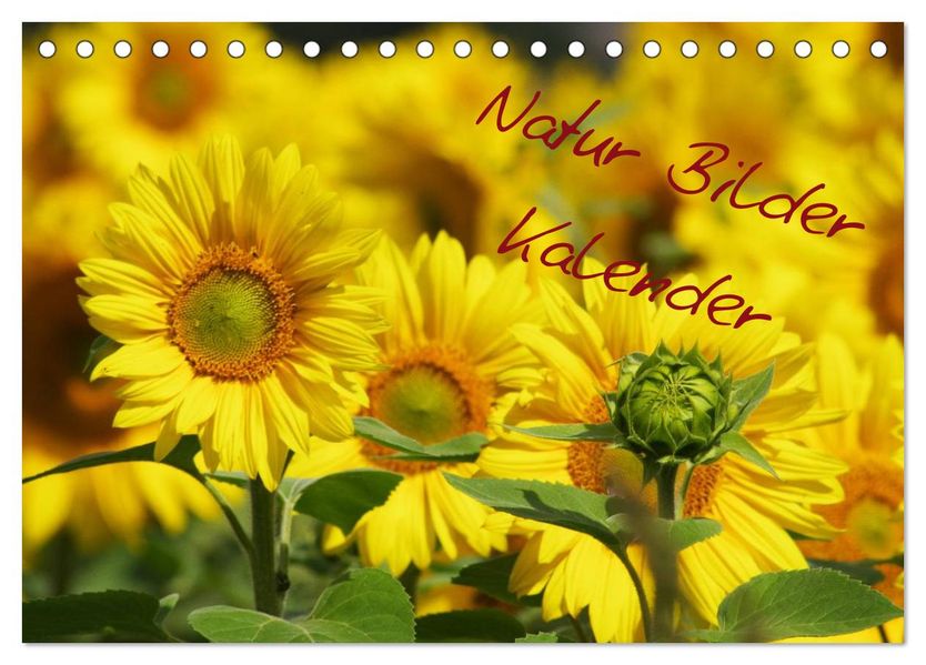 Natur Bilder Kalender (Tischkalender 2027 DIN A5 quer) CALVENDO Monatskalender