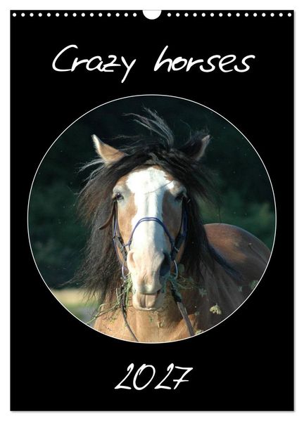 Crazy horses (Wandkalender 2027 DIN A3 hoch) CALVENDO Monatskalender
