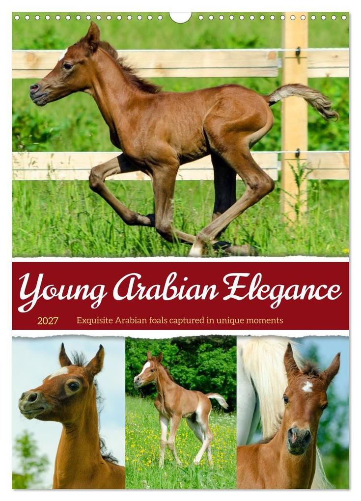 Young Arabian Elegance (Wall Calendar 2027 DIN A3 portrait) CALVENDO 12 Month Wall Calendar
