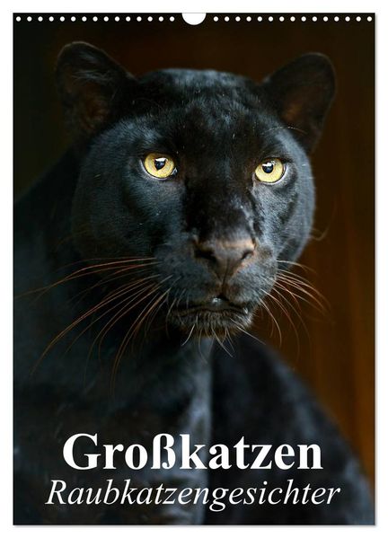 Großkatzen. Raubkatzengesichter (Wandkalender 2027 DIN A3 hoch) CALVENDO Monatskalender