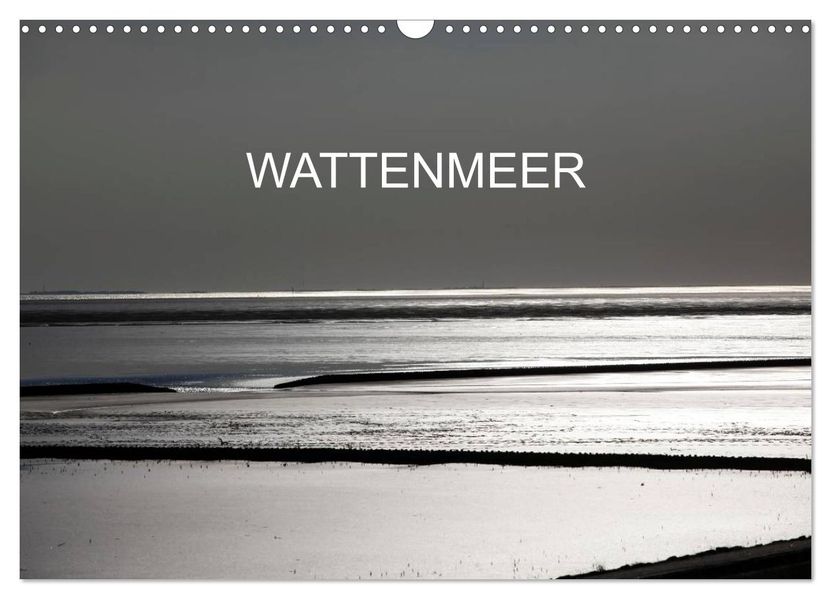 Wattenmeer (Wandkalender 2027 DIN A3 quer) CALVENDO Monatskalender