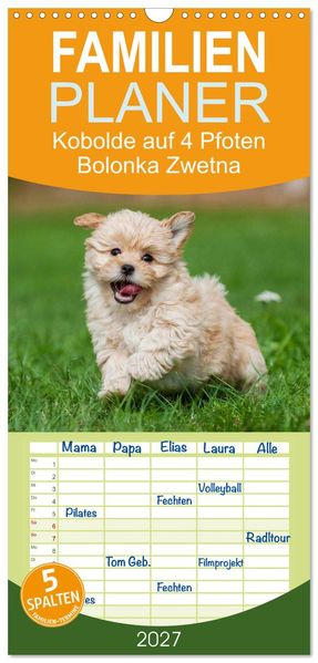 Familienplaner 2027 - Kobolde auf 4 Pfoten - Bolonka Zwetna mit 5 Spalten (Wandkalender 21 x 45 cm) CALVENDO
