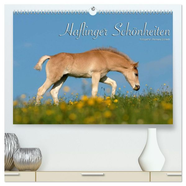 Haflinger Schönheiten (hochwertiger Premium Wandkalender 2027 DIN A2 quer) Kunstdruck in Hochglanz