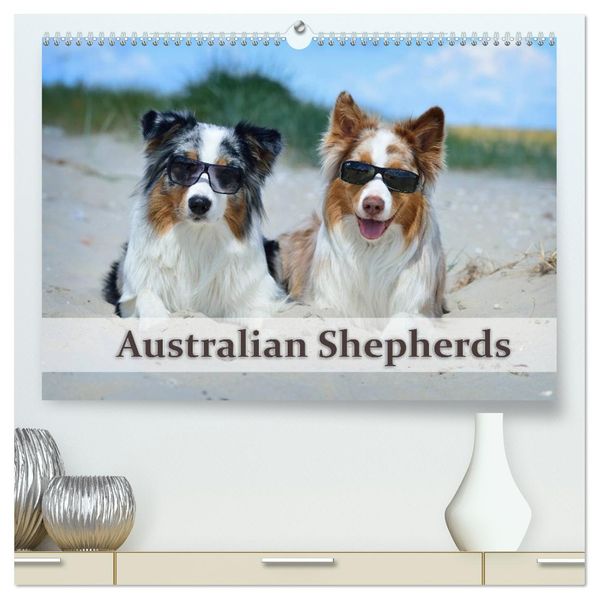 Wunderbare Australian Shepherds (hochwertiger Premium Wandkalender 2027 DIN A2 quer) Kunstdruck in Hochglanz