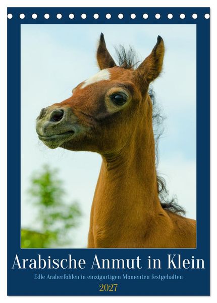 Arabische Anmut in Klein (Tischkalender 2027 DIN A5 hoch) CALVENDO Monatskalender