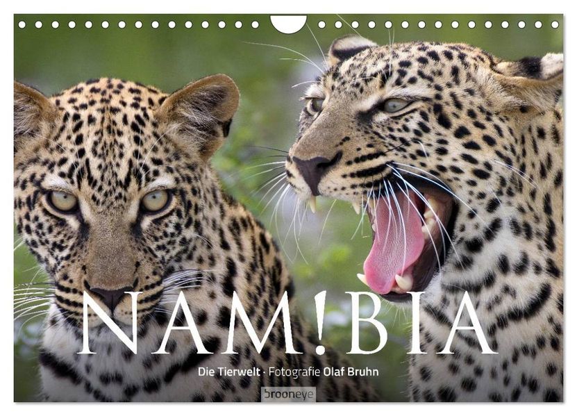 Namibia - Die Tierwelt (Wandkalender 2027 DIN A4 quer) CALVENDO Monatskalender