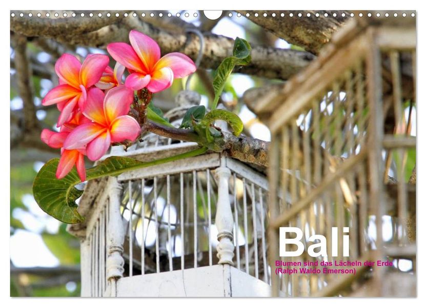 Bali (Wandkalender 2027 DIN A3 quer) CALVENDO Monatskalender