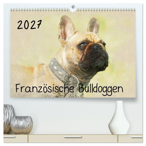 Französische Bulldoggen 2027 (hochwertiger Premium Wandkalender 2027 DIN A2 quer) Kunstdruck in Hochglanz