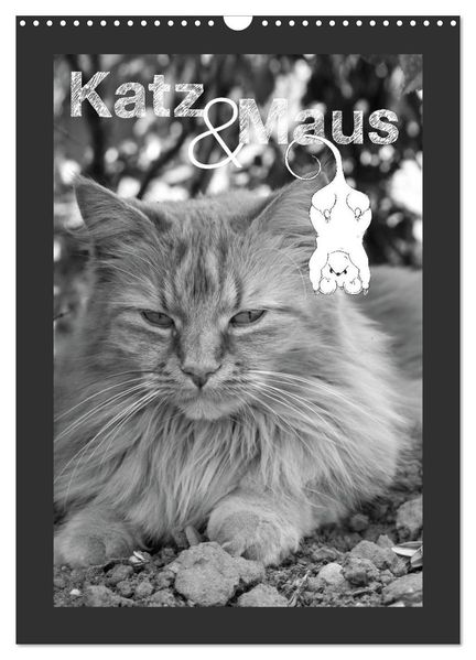 Katz & Maus (Wandkalender 2027 DIN A3 hoch) CALVENDO Monatskalender