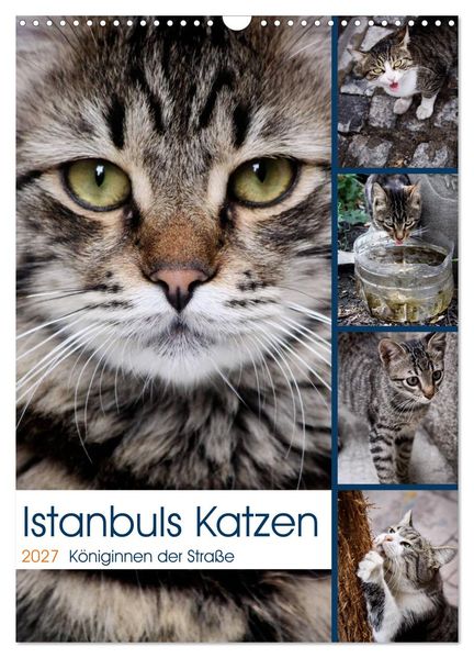 Istanbuls Katzen (Wandkalender 2027 DIN A3 hoch) CALVENDO Monatskalender