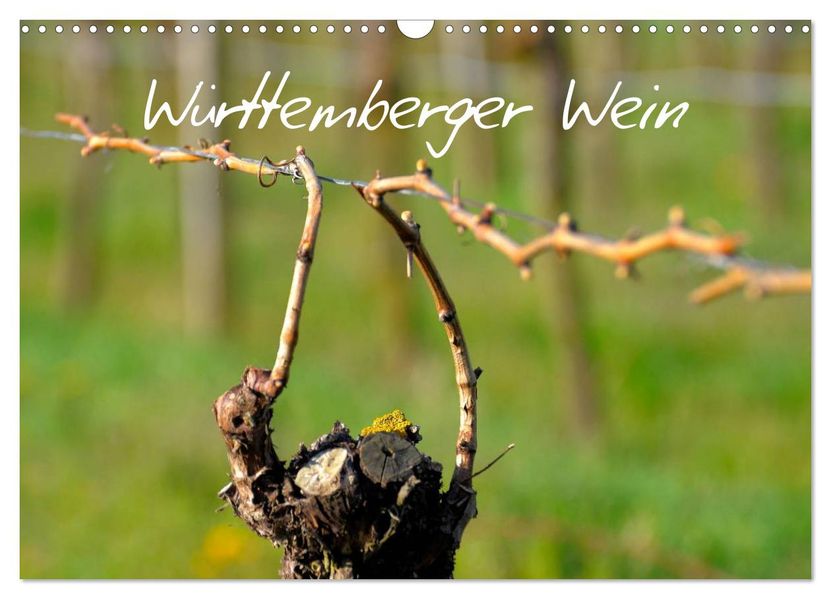 Württemberger Wein 2027 (Wandkalender 2027 DIN A3 quer) CALVENDO Monatskalender