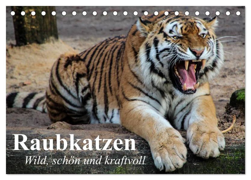 Raubkatzen. Wild schön und kraftvoll (Tischkalender 2027 DIN A5 quer) CALVENDO Monatskalender