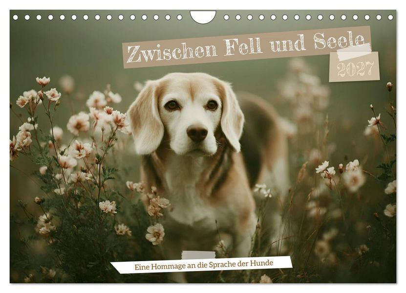 Zwischen Fell und Seele (Wandkalender 2027 DIN A4 quer) CALVENDO Monatskalender
