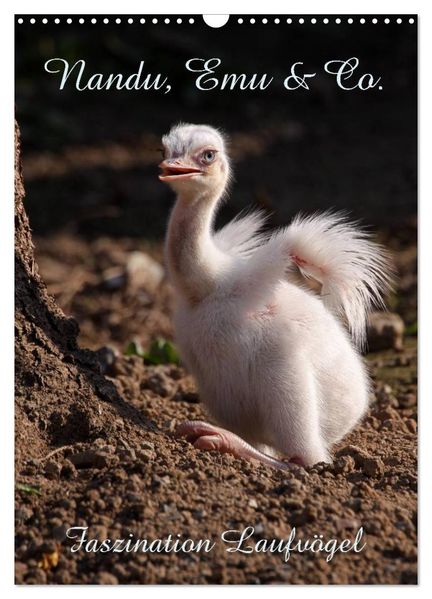 Nandu Emu & Co. (Wandkalender 2027 DIN A3 hoch) CALVENDO Monatskalender