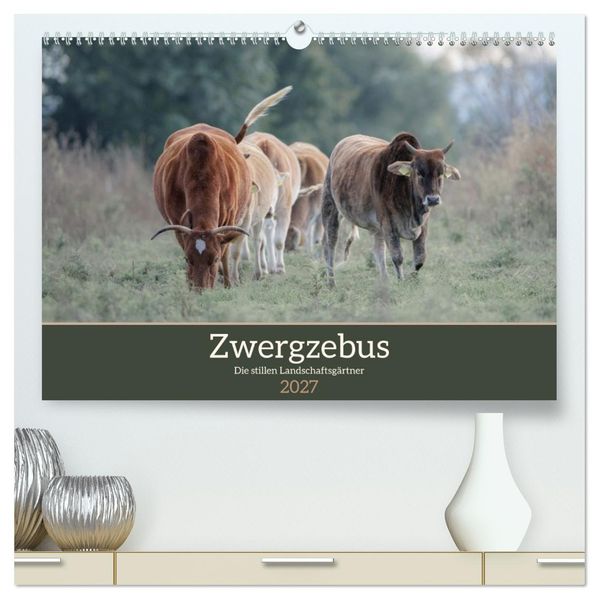 Zwergzebus - Die stillen Landschaftsgärtner (hochwertiger Premium Wandkalender 2027 DIN A2 quer) Kunstdruck in Hochglanz