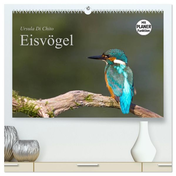 Eisvögel (hochwertiger Premium Wandkalender 2027 DIN A2 quer) Kunstdruck in Hochglanz