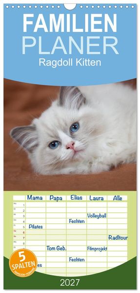 Familienplaner 2027 - Ragdoll Kitten mit 5 Spalten (Wandkalender 21 x 45 cm) CALVENDO