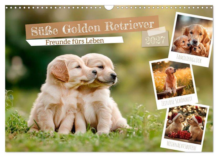 Süße Golden Retriever - Freunde fürs Leben (Wandkalender 2027 DIN A3 quer) CALVENDO Monatskalender