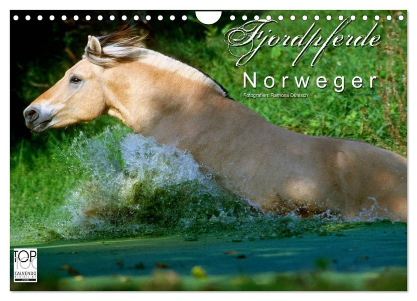 Fjordpferde - Norweger (Wandkalender 2027 DIN A4 quer) CALVENDO Monatskalender