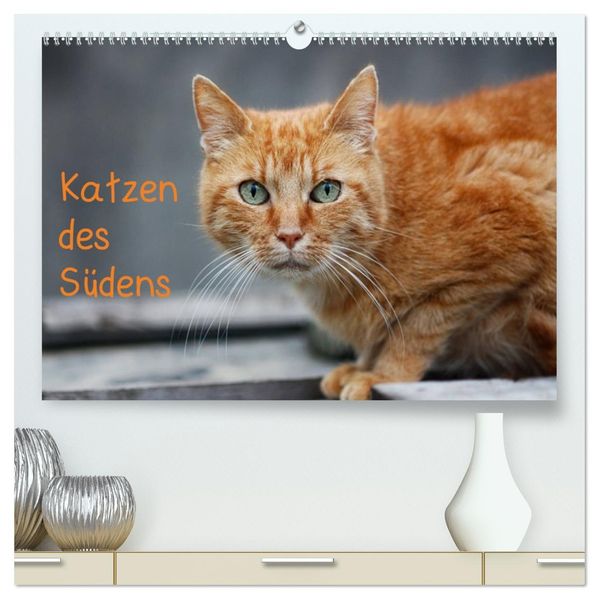 Katzen des Südens (hochwertiger Premium Wandkalender 2027 DIN A2 quer) Kunstdruck in Hochglanz