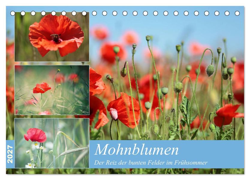 Mohnblumen (Tischkalender 2027 DIN A5 quer) CALVENDO Monatskalender