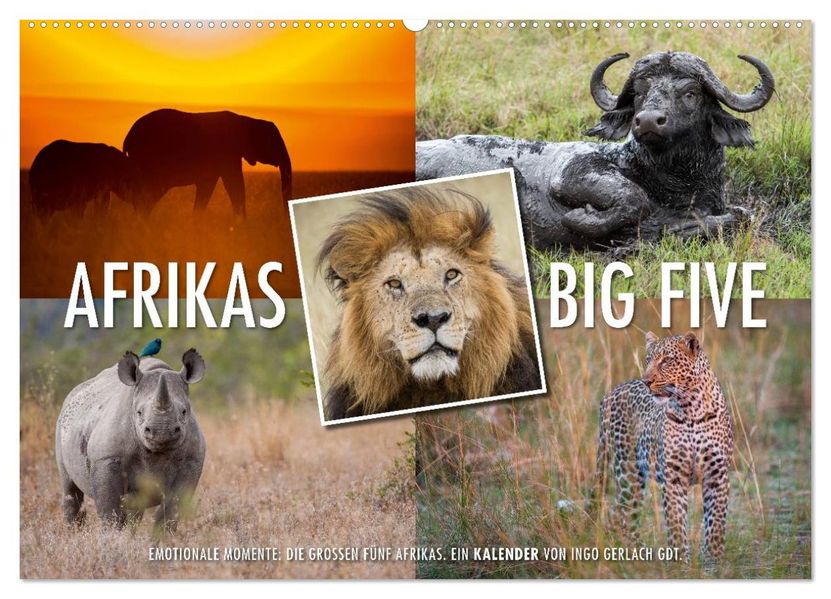 Emotionale Momente: Afrikas Big Five (Wandkalender 2027 DIN A2 quer) CALVENDO Monatskalender