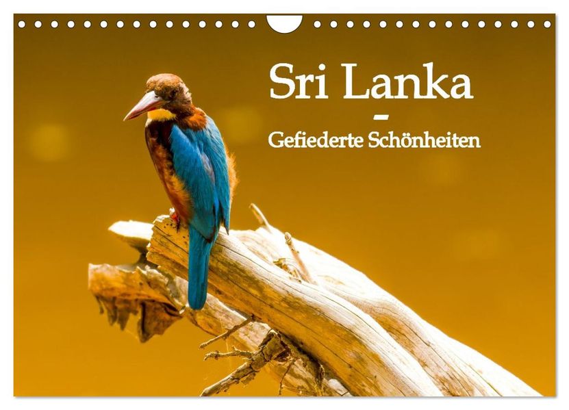Sri Lanka - Gefiederte Schönheiten (Wandkalender 2027 DIN A4 quer) CALVENDO Monatskalender