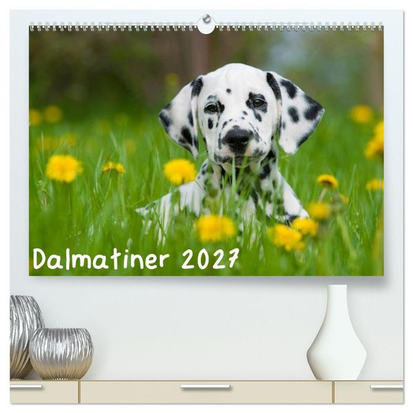 Dalmatiner 2027 (hochwertiger Premium Wandkalender 2027 DIN A2 quer) Kunstdruck in Hochglanz
