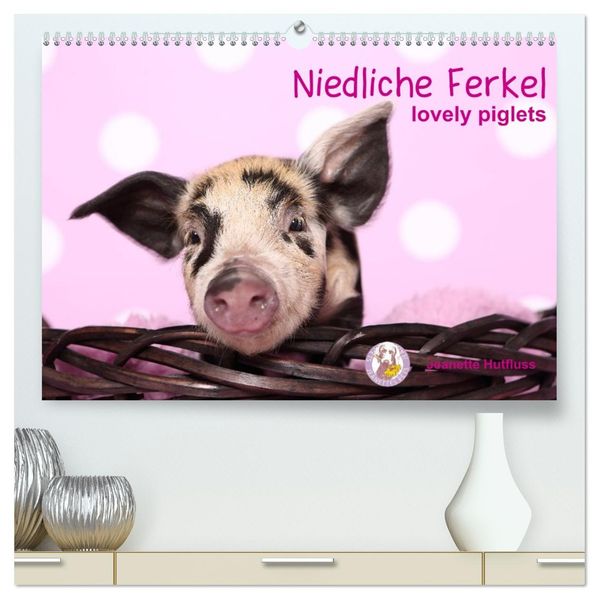 Niedliche Ferkel lovely piglets (hochwertiger Premium Wandkalender 2027 DIN A2 quer) Kunstdruck in Hochglanz