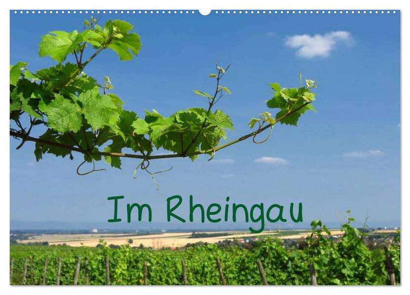 Im Rheingau (Wandkalender 2027 DIN A2 quer) CALVENDO Monatskalender