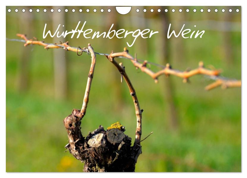 Württemberger Wein 2027 (Wandkalender 2027 DIN A4 quer) CALVENDO Monatskalender