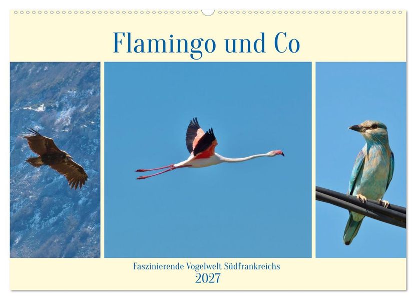 Flamingo und Co - Faszinierende Vogelwelt Südfrankreichs (Wandkalender 2027 DIN A2 quer) CALVENDO Monatskalender
