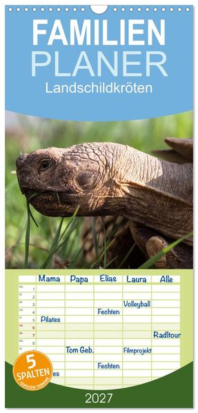 Familienplaner 2027 - Landschildkröten mit 5 Spalten (Wandkalender 21 x 45 cm) CALVENDO