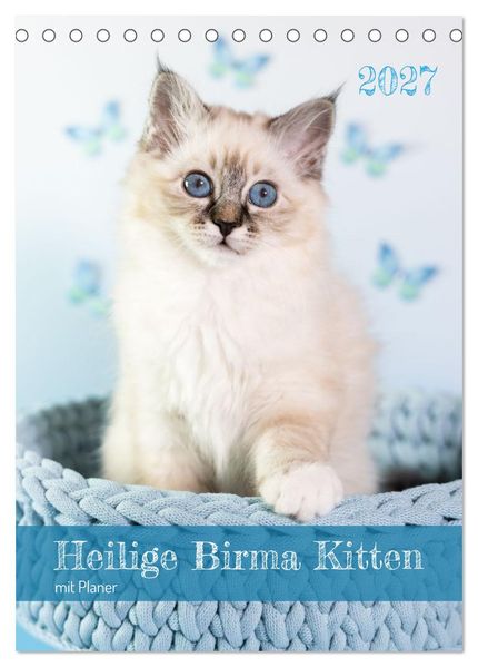 Heilige Birma Kitten Kalender mit Planer (Tischkalender 2027 DIN A5 hoch) CALVENDO Monatskalender