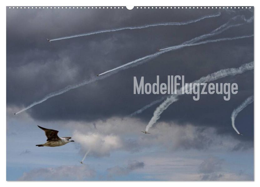 Modellflugzeuge Nr. 1 / 2027 (Wandkalender 2027 DIN A2 quer) CALVENDO Monatskalender