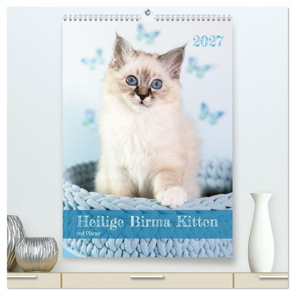 Heilige Birma Kitten Kalender mit Planer (hochwertiger Premium Wandkalender 2027 DIN A2 hoch) Kunstdruck in Hochglanz