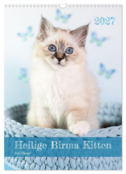 Heilige Birma Kitten Kalender mit Planer (Wandkalender 2027 DIN A3 hoch) CALVENDO Monatskalender
