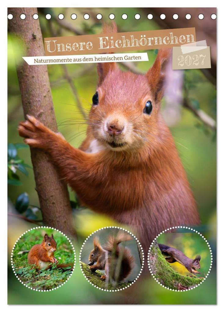 Unsere Eichhörnchen - Naturmomente aus dem heimischen Garten (Tischkalender 2027 DIN A5 hoch) CALVENDO Monatskalender